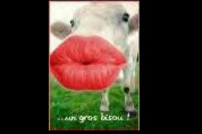 KISS